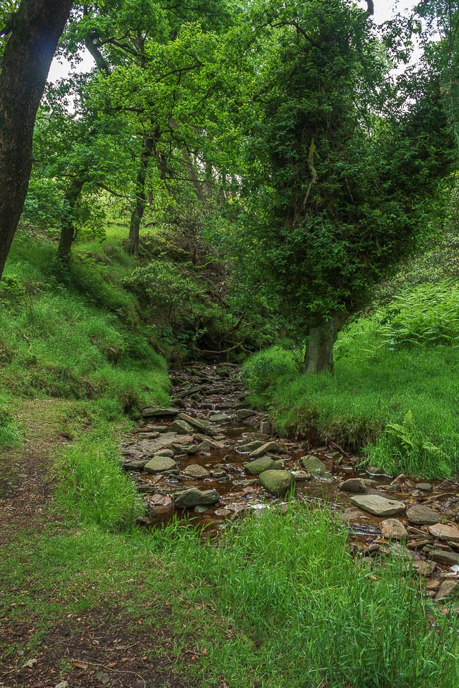 Shooter's Clough Shooter's Clough